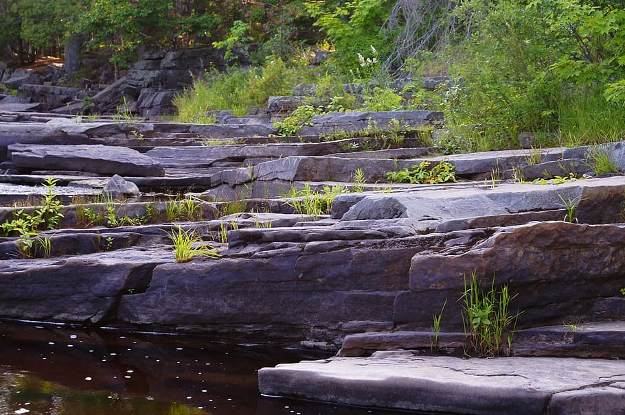 Steps, Nature, Rocks, Garden, Forest, plant, leaf, sunlight HD wallpaper