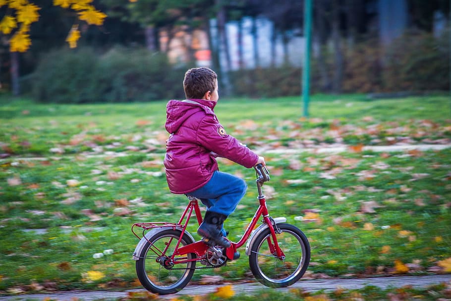 child riding on red bike during daytime, kid, boy, bicycle, young, HD wallpaper