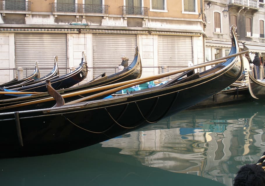 venice, channel, gondolas, gondola - traditional boat, mode of transportation HD wallpaper