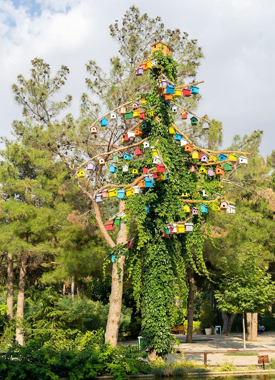bird tree, colorful, artificial, outside art, modern, design HD wallpaper
