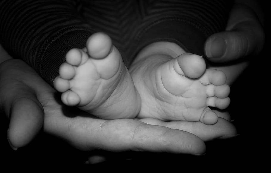 peoples, hand, human body part, baby, young, child, human hand HD wallpaper