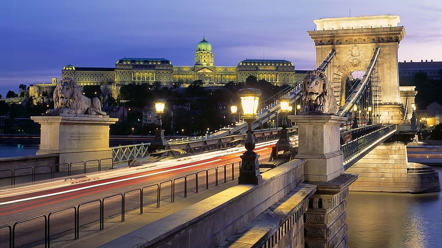 gray concrete bridge during nighttime, budapest, chain bridge HD wallpaper