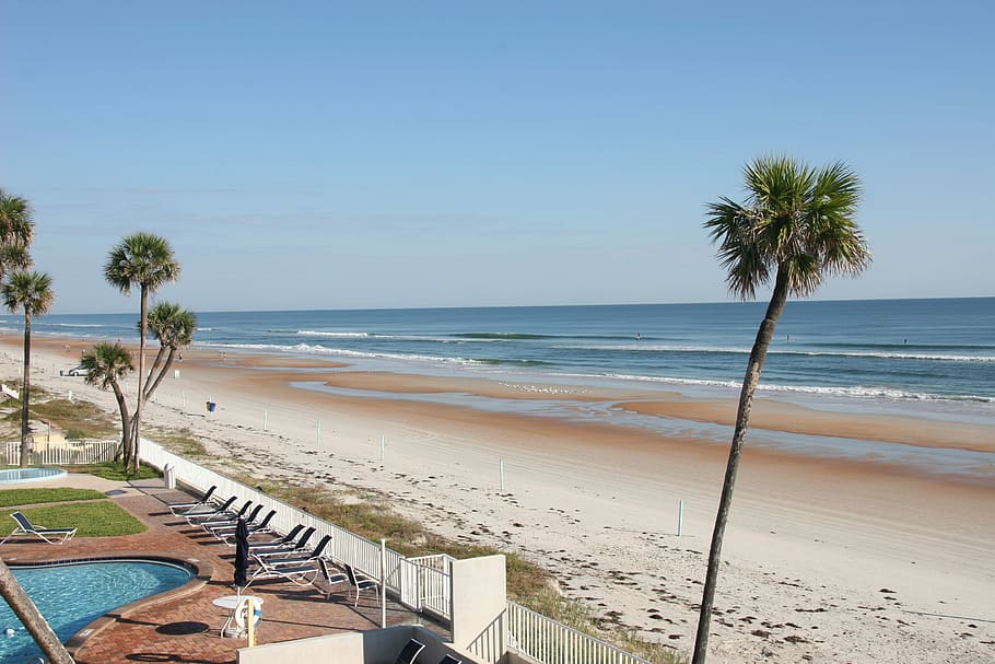 Beach, Vacation, Sand, Ocean, Coast, palm, tree, florida, alabama HD wallpaper