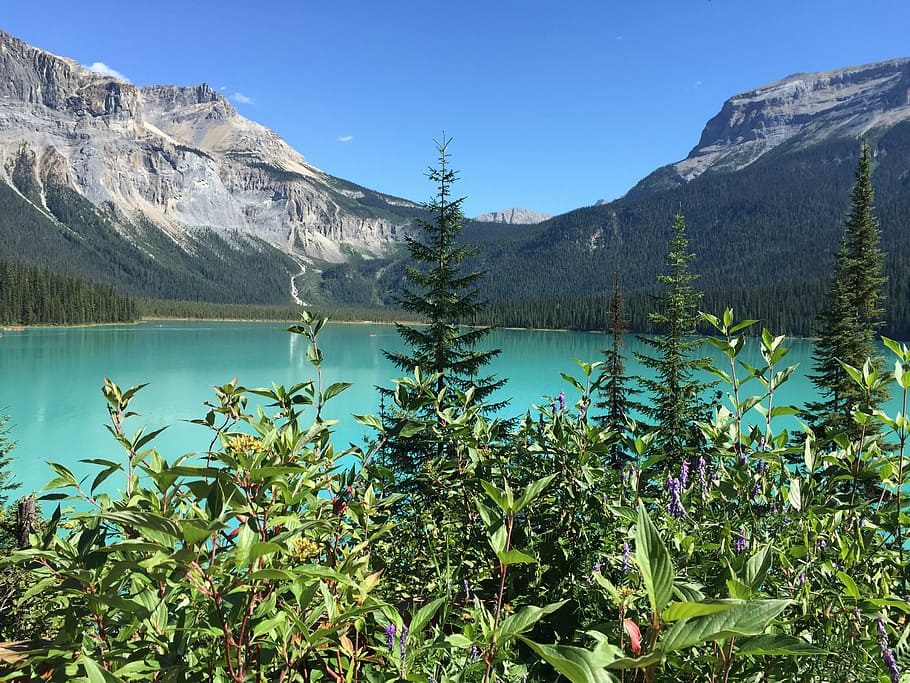 emerald lake, canada, travel, water, yoho, nature, landscape, HD wallpaper
