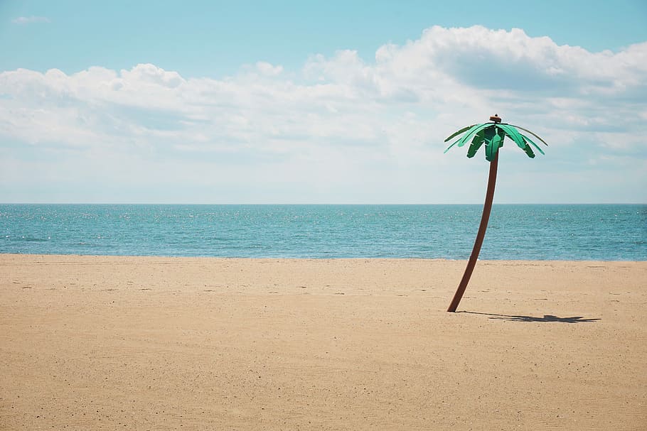 green artificial palm tree on seashore, green leafed tree in beach sand during daytime HD wallpaper
