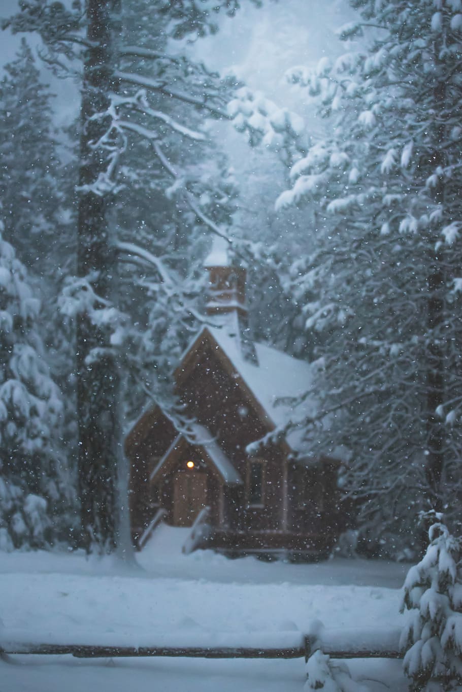 house and trees with snow, brown house surrounded with trees covered with snow HD wallpaper