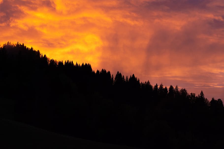 sky, forests, trees, lighting, abendstimmung, twilight, clouds HD wallpaper