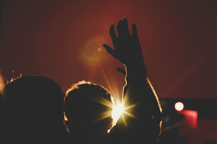silhouette of man raising his hands inside deemed room, person raising hand HD wallpaper