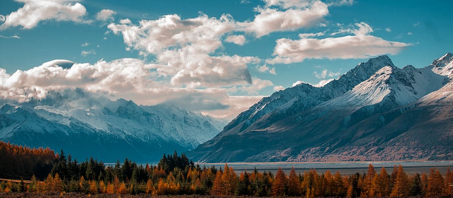 snow-capped mountain in the horizon with cumulus clouds, brown forest HD wallpaper