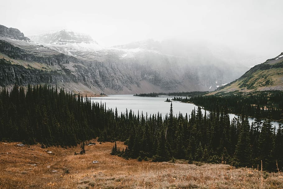 green trees near calm body of water, photo of body of water surrounded by mountain HD wallpaper