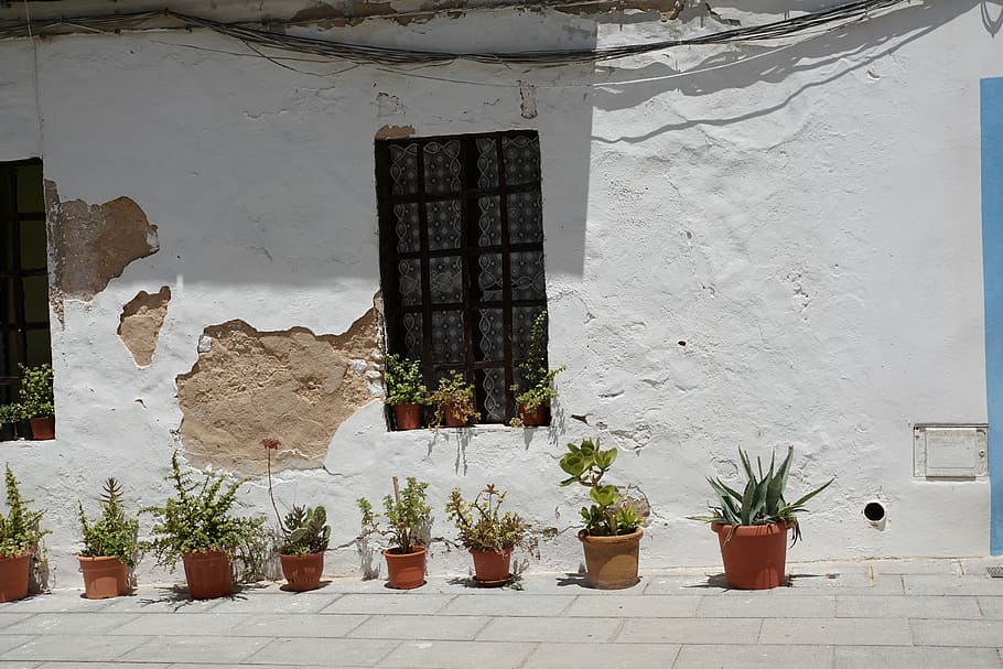 home, white, eivissa, facade, plant, architecture, built structure HD wallpaper