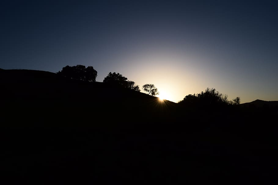 sunset, backlight, silhouettes, trees, forest, hill, evening HD wallpaper