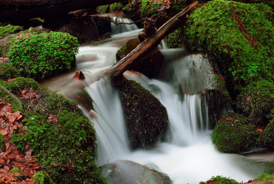 bach, waterfall, forest, nature, landscape, murmur, rock, mountain stream HD wallpaper