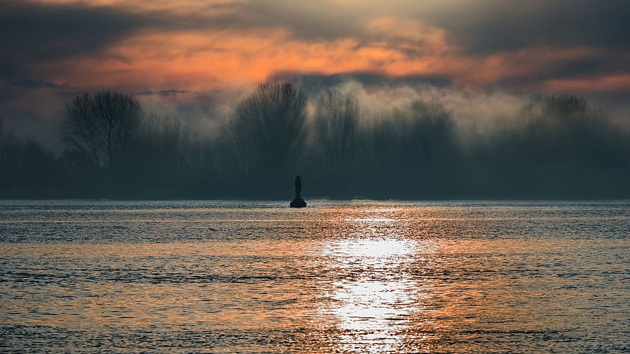 fog, river, water, nature, landscape, haze, bank, foggy, clouds HD wallpaper