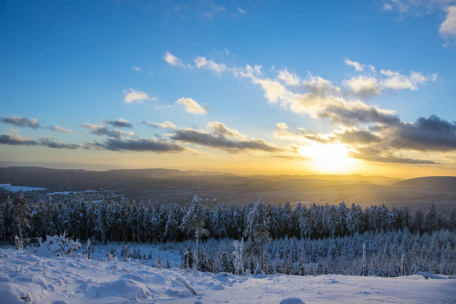 snow-covered forest during daytime, sunset, recreation area HD wallpaper