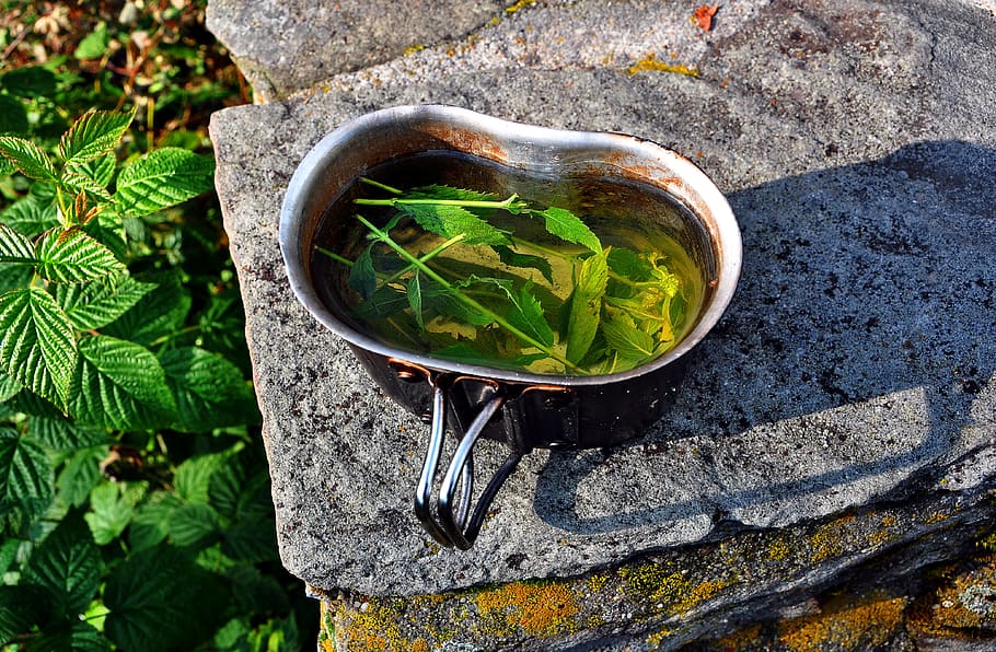 mint, tea, dish, the drink, drinking, mountains, nature, natural HD wallpaper