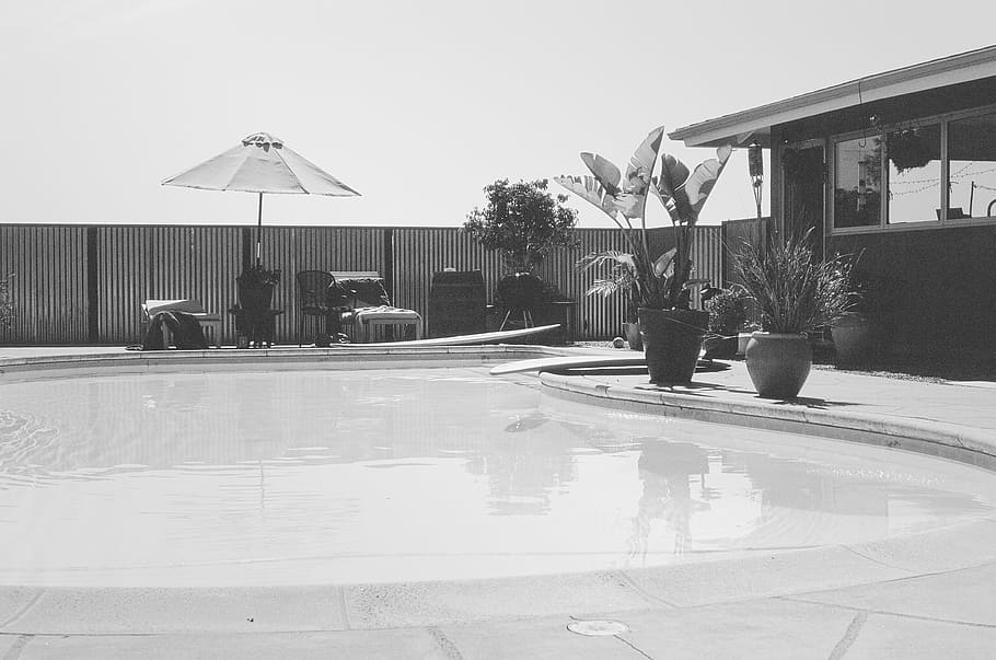 pool, backyard, umbrella, patio, plants, house, architecture HD wallpaper