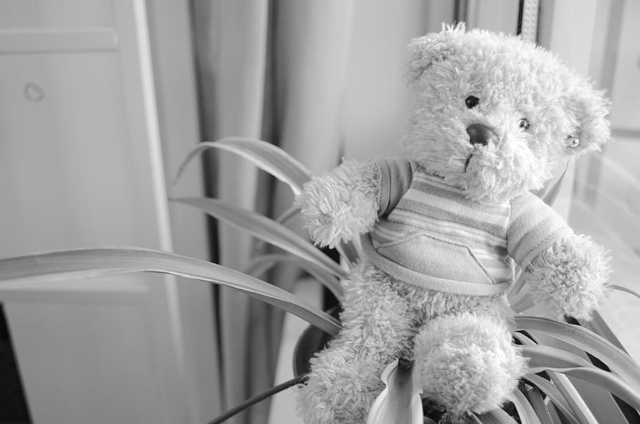 black and white, cubs, nostalgia, toy, stuffed toy, indoors, HD wallpaper
