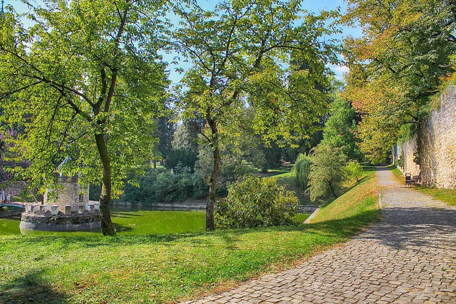 bojnice castle, slovakia, lock, tree, plant, green color, nature HD wallpaper