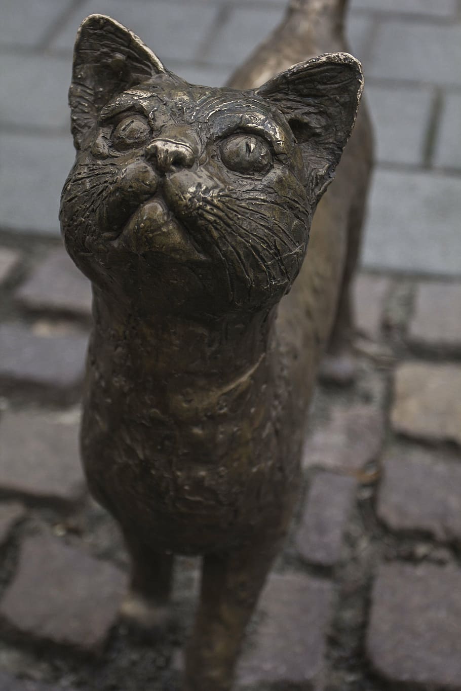 Cat garden statue - Bronze statues - Cat garden statues online