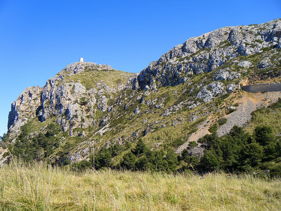 majorca, hill, mountain, tree, forest, mountains, landscape HD wallpaper