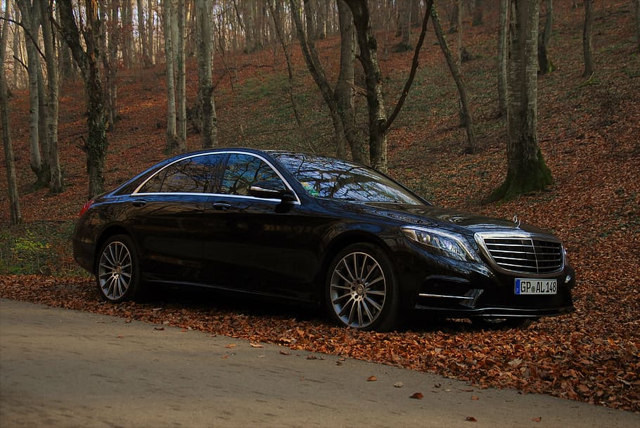black Mercedes-Benz S-class sedan parked near trees, auto, autumn, HD wallpaper