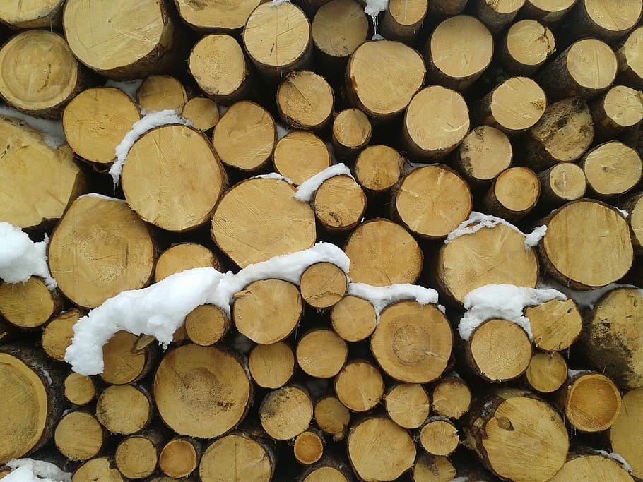 snow, trunks, cut, log, firewood, timber, stack, wood - material HD wallpaper