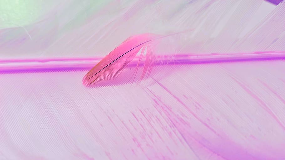 desktop, abstract, color, art, pattern, feathers, colorful HD wallpaper