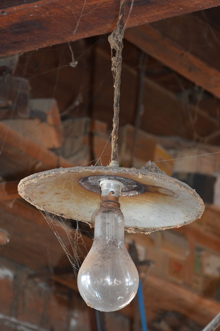 light, bulb, spider web, old, workshop, focus on foreground HD wallpaper