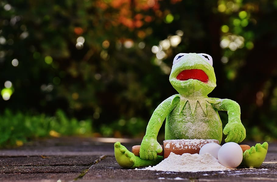 kermit, bake, rolling pin, egg, flour, ingredients, prepare HD wallpaper