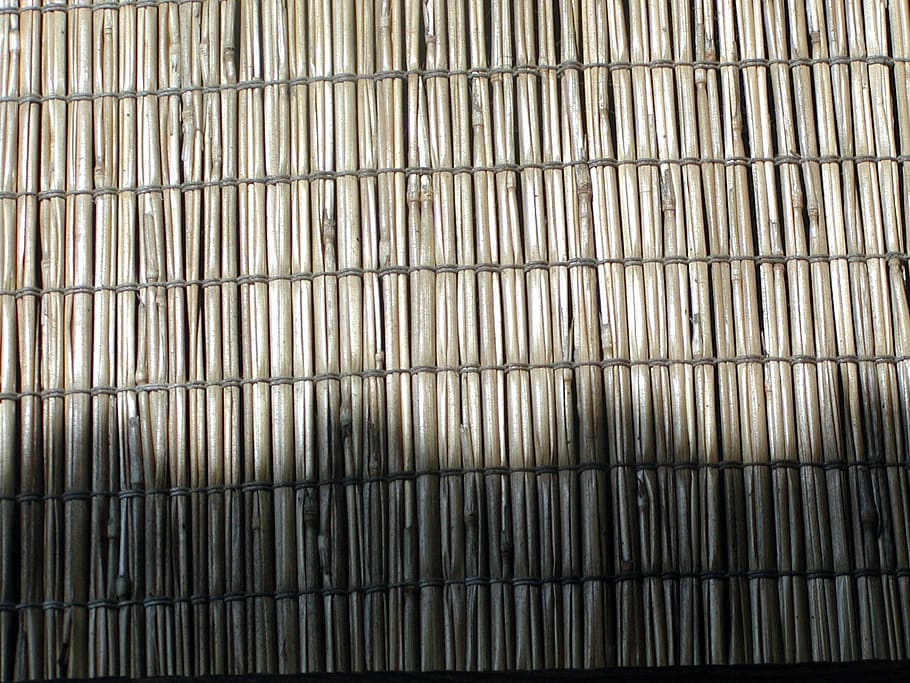 reed, wall, sun, shadow, garden, blade, dry, summer, pattern HD wallpaper