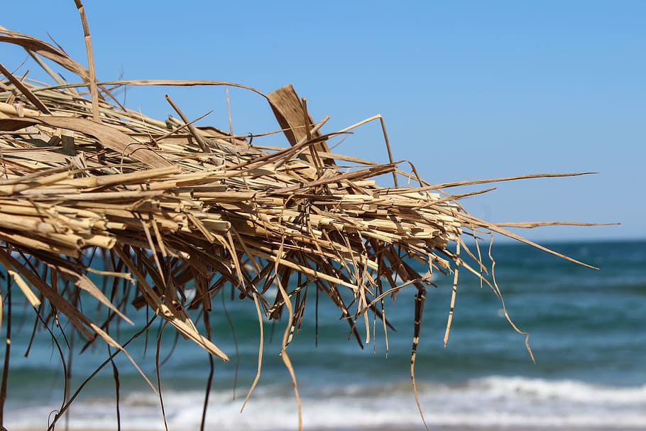 Beach, Primorsko, Bulgaria, summer, summer beach, sea, vacation HD wallpaper