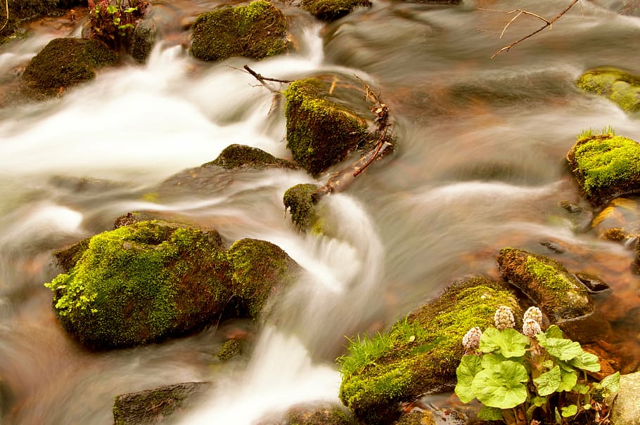 bach, black forest, nature, water, long exposure, river, nöggenschwiel HD wallpaper