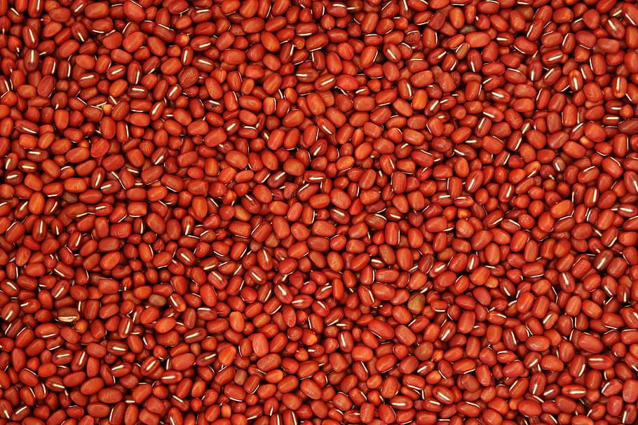 brown beans, red bean, pattern, texture, nature, grain, farming HD wallpaper