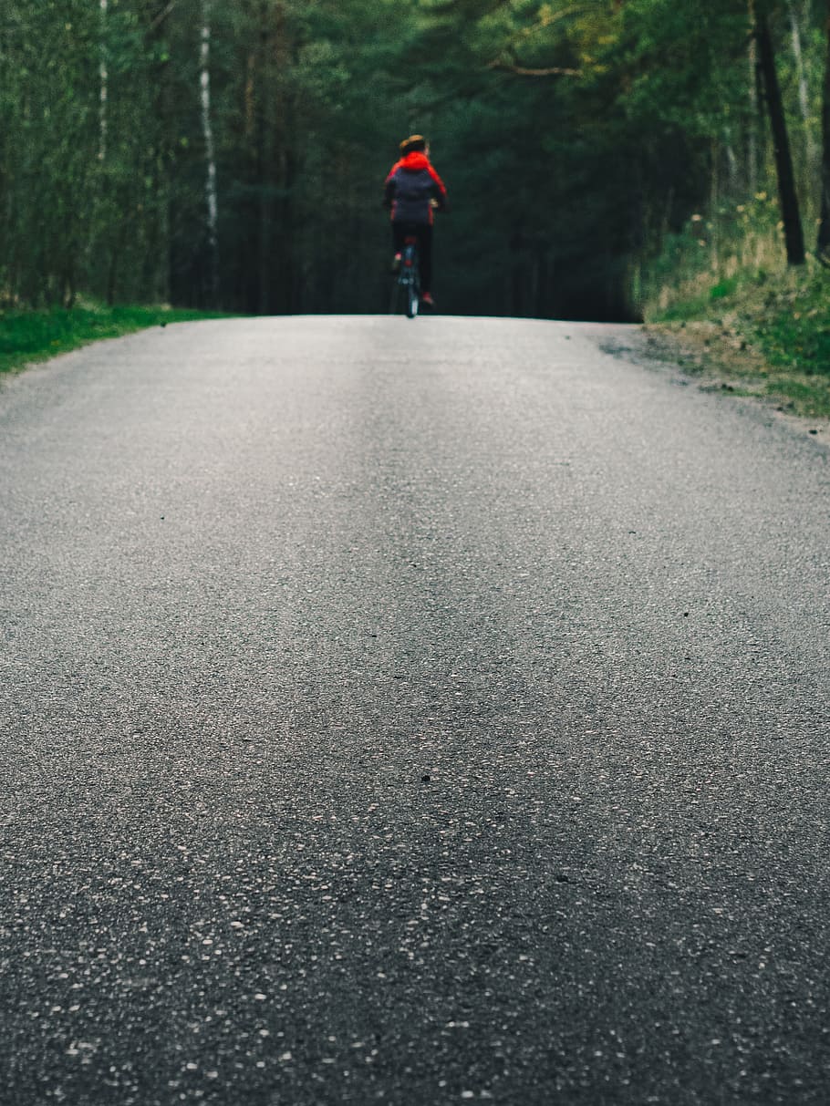 cyling, biking, road, forest, nature, woods, cycle, environment HD wallpaper