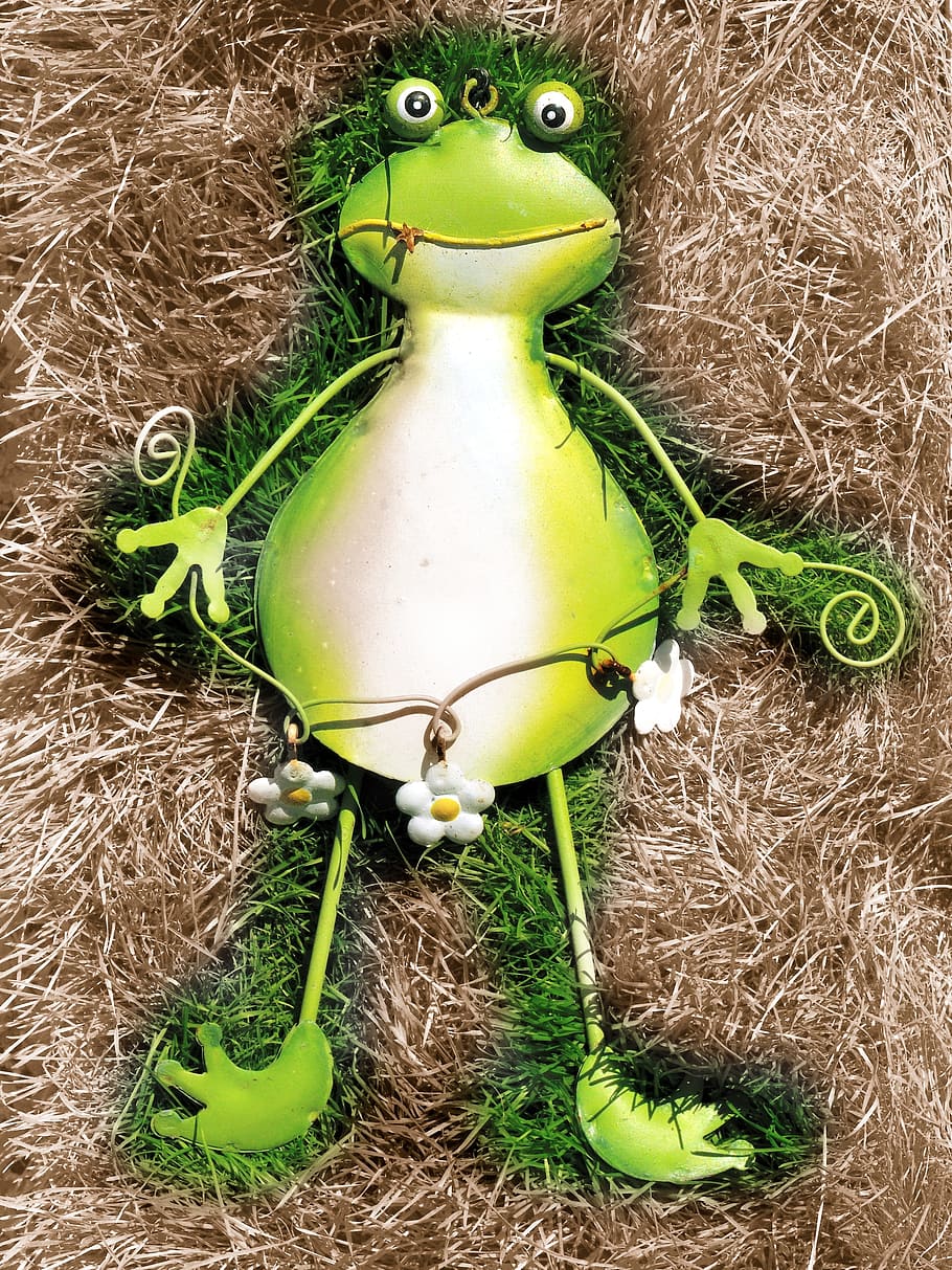 frog, green, green frog, close, toad, maerechenfiguren, frog prince HD wallpaper