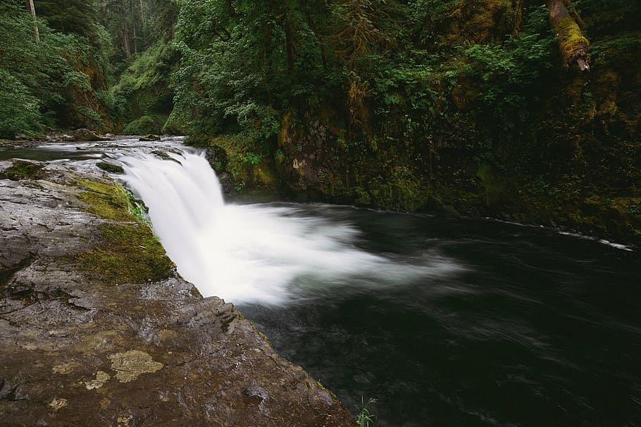 mossy waterfall during daytime, forest trees, nature, landscape HD wallpaper