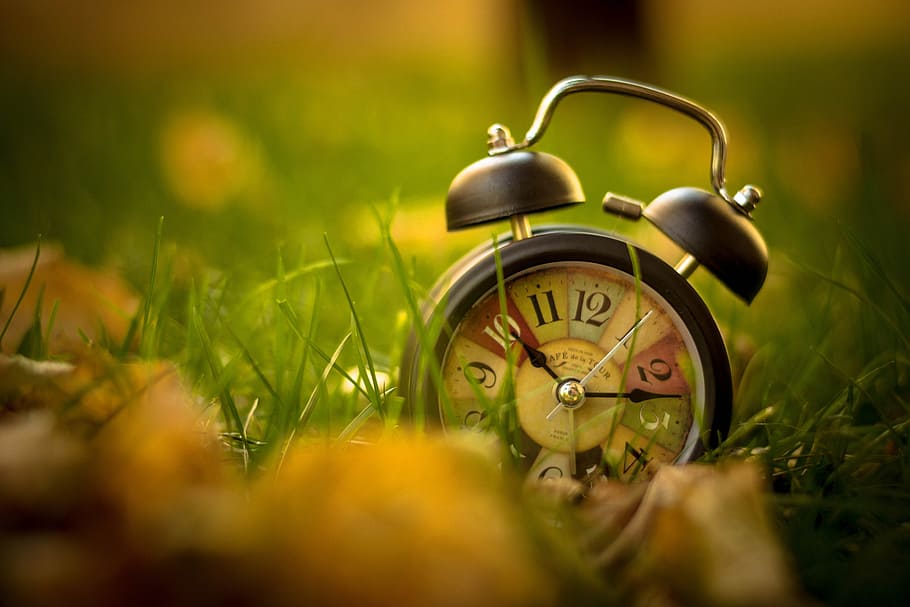 bell alarm clock placed on green grass, time, plant, selective focus HD wallpaper
