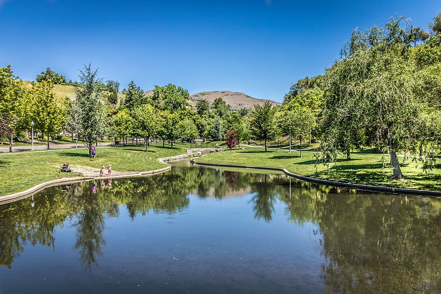 Grove Park, Memory, City, Utah, grove park memory, city salt lake, HD wallpaper