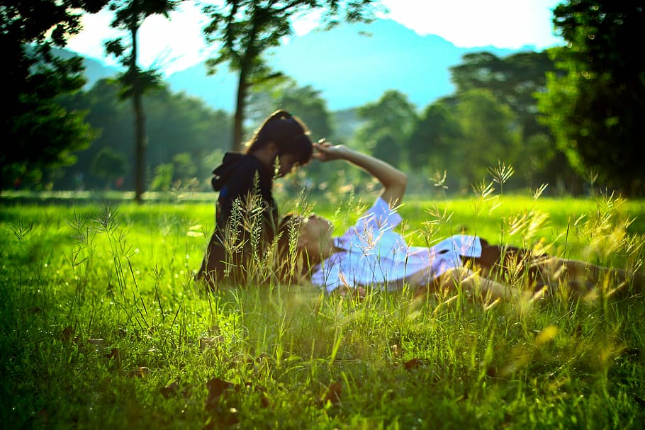 romance, sunset evening, love, grass, teens, plant, field, land HD wallpaper