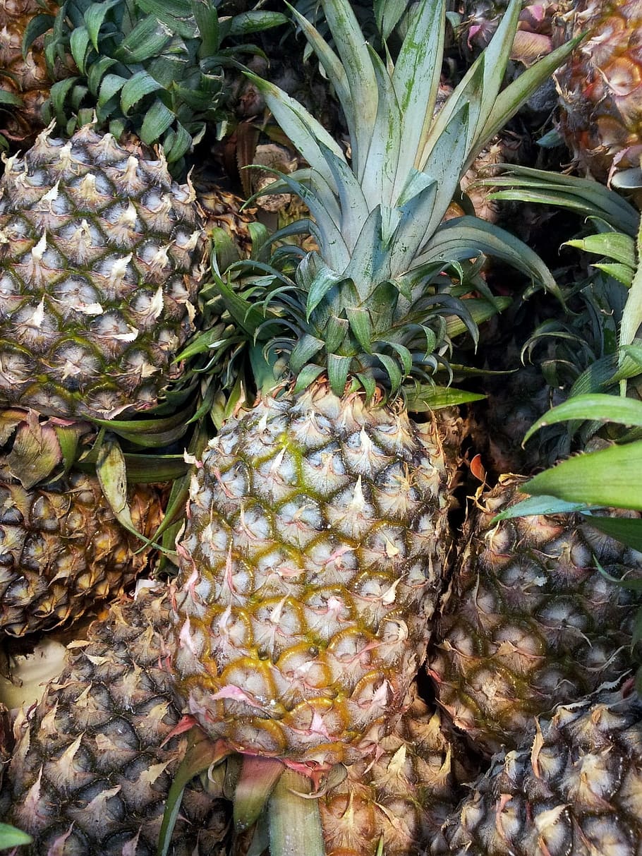 Pineapple, Basket, Fruit, pineapple basket, single pine apple HD wallpaper
