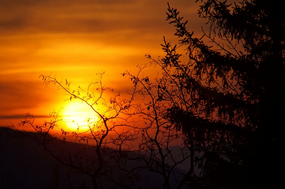 Sunset, Nature, Landscape, Sky, light, sunlight, outdoor, silhouette HD wallpaper