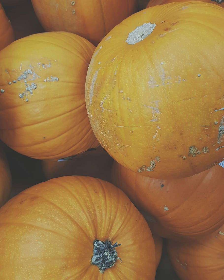 bunch of orange pumpkins, stack of pumpkin, autumn, fall, squash HD wallpaper