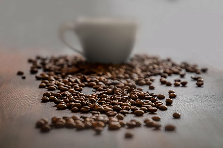 coffee beans and white ceramic teacup, coffee cup, cafe, caffeine HD wallpaper