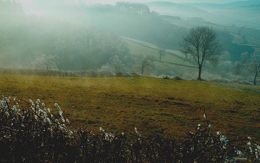 green, cold, winters, field, landscape, prairie, france, winter landscape HD wallpaper