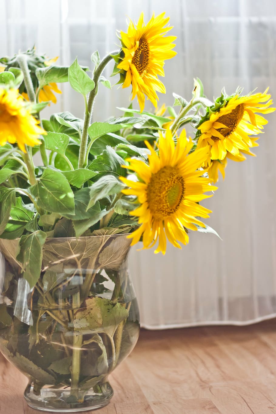 HD wallpaper: sunflowers, vase, yellow, plant, bouquet, decoration