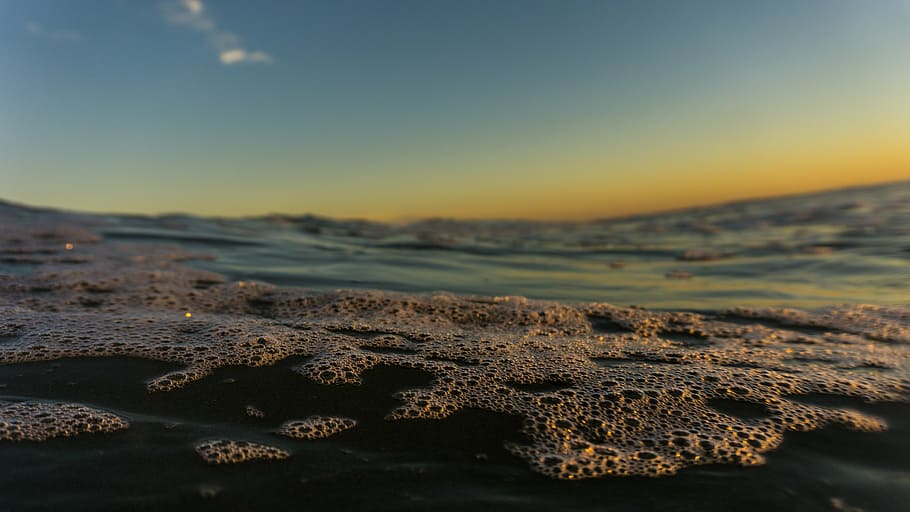 selective focus photography of bubbles, low, angle, bubbly HD wallpaper