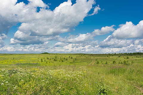 green grass field during daytime, sky, clouds, landscape, open space HD wallpaper