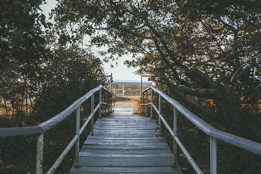 bridge, tampico, wood, mexico, autumn, sunset, path, trail, HD wallpaper