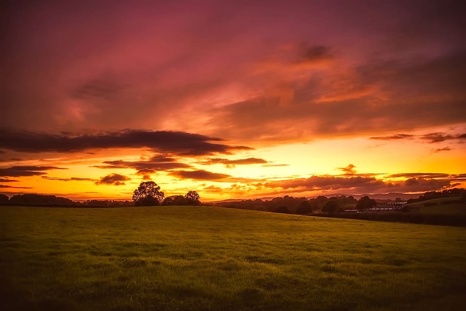 sunset, dusk, trees, hills, field, meadow, sky, clouds, woods HD wallpaper